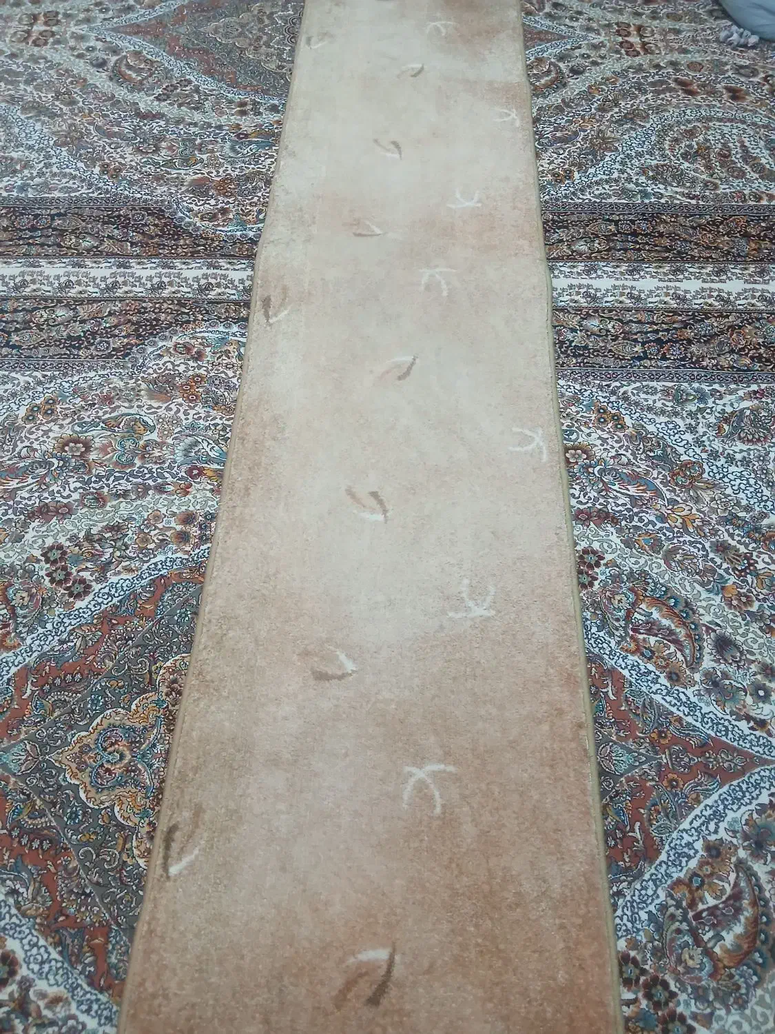 موکت|موکت|کرمانشاه, |دیوار