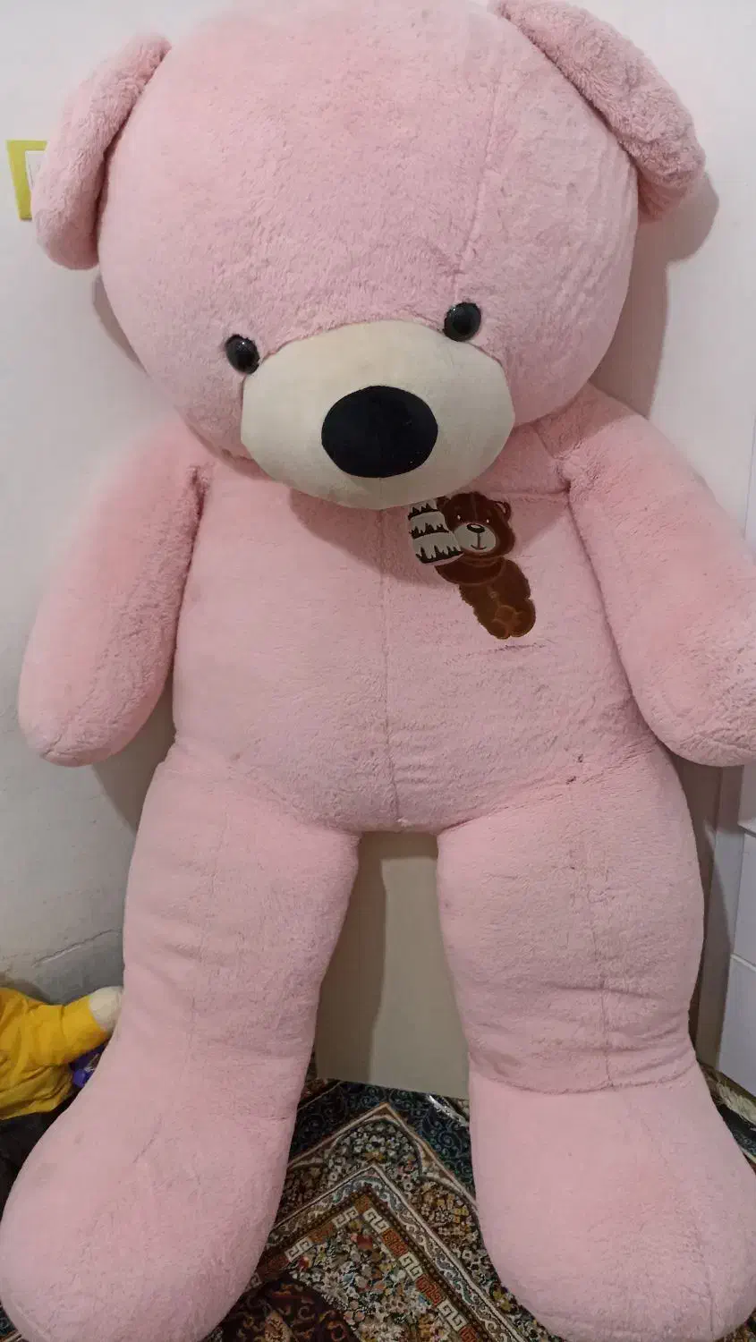 خرس بزرگ|اسباب‌‌بازی|زاهدان, |دیوار