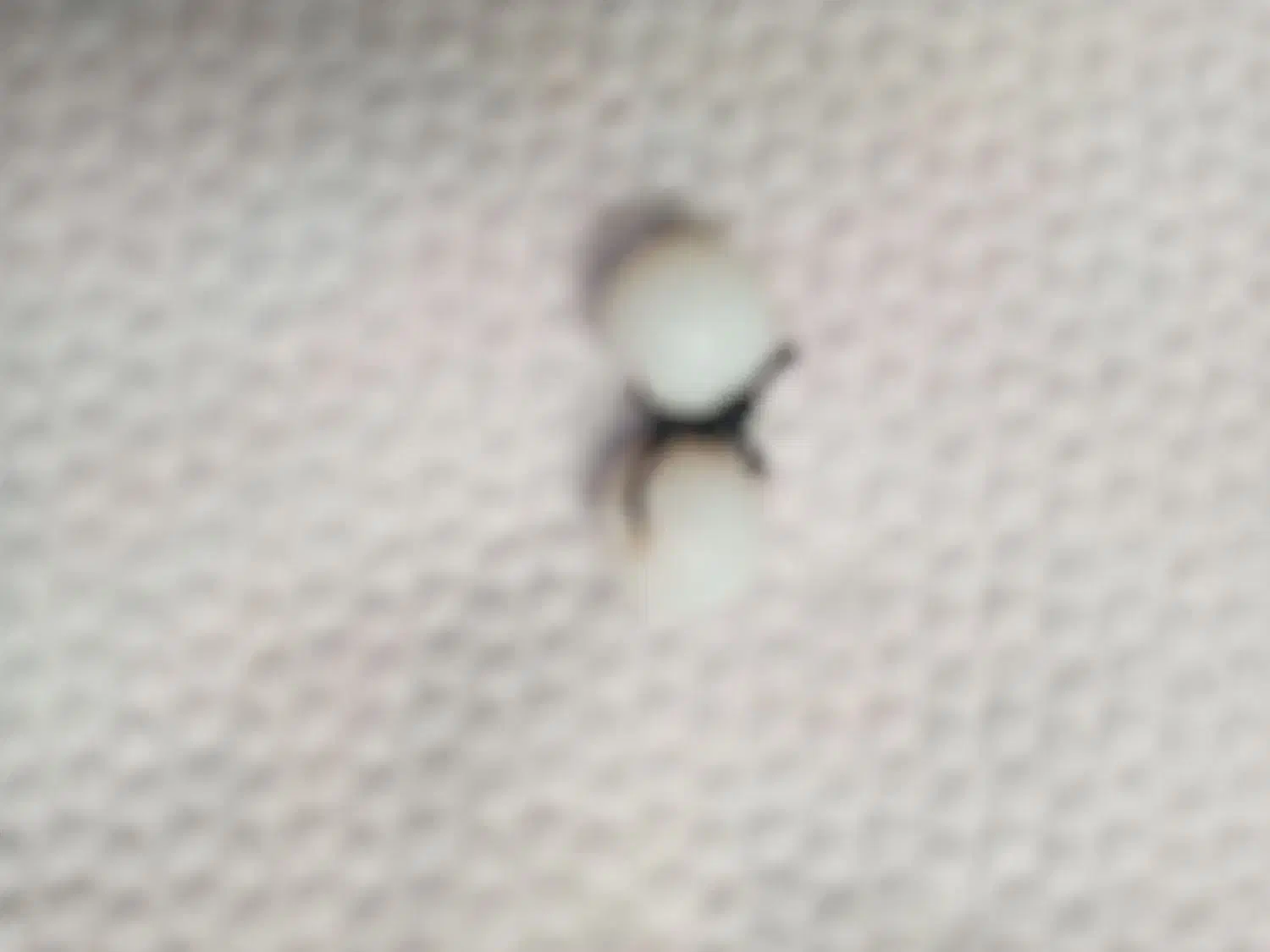 سنگ عتف|بدلیجات|خرمشهر, |دیوار