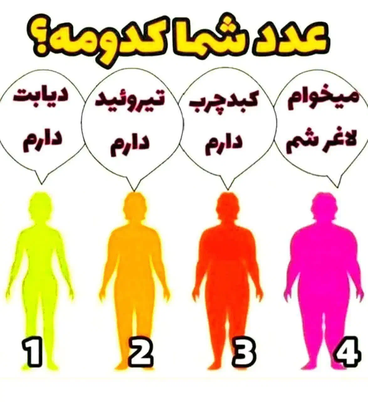 پک لاغری و چاقی|آرایشی، بهداشتی، درمانی|ابهر, |دیوار