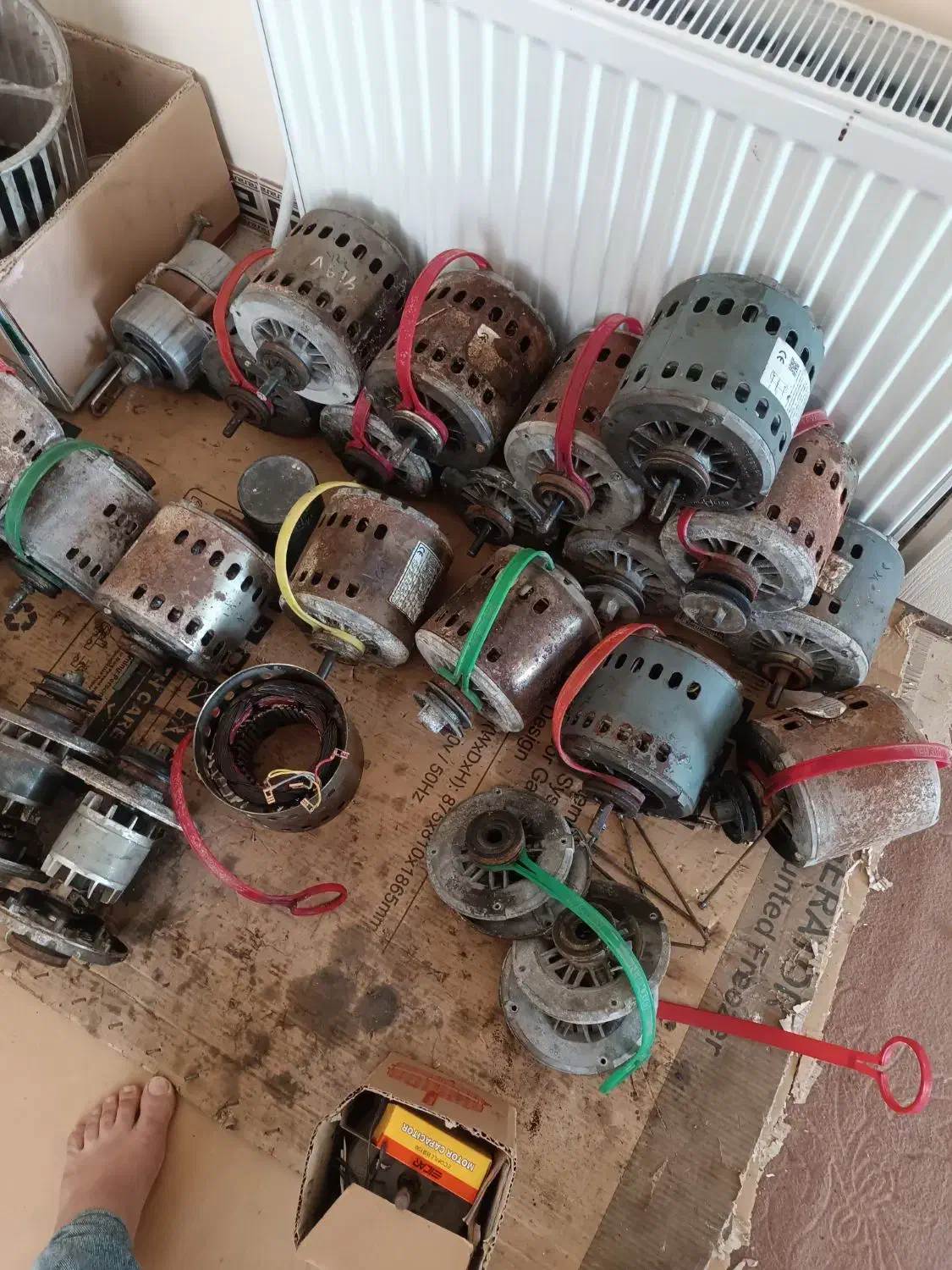 دینام موتور کولر انواع برندهای معتبر با ضمانت|کولر آبی|پرند, فاز ۶|دیوار