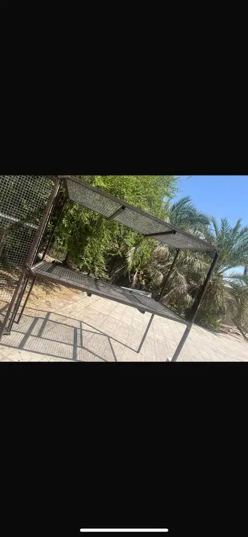 قفسه|فروشگاه و مغازه|بم, |دیوار