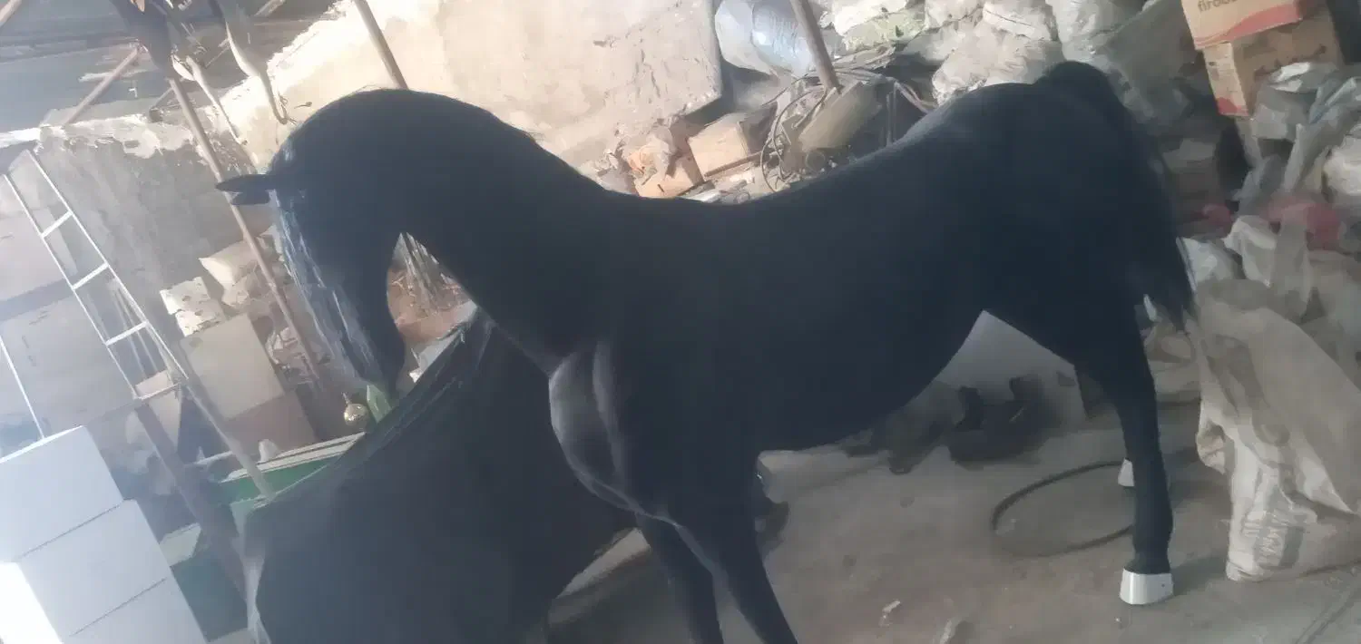 مجسمه اسب|اسب و تجهیزات اسب‌سواری|خاوران, |دیوار