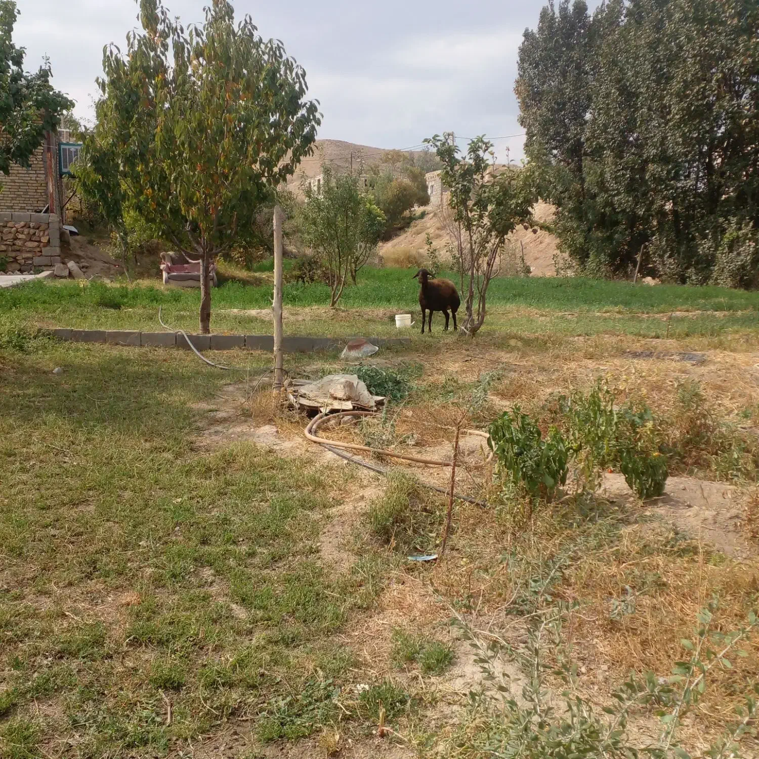 فروش خانه ویلایی|فروش خانه و ویلا|ماهنشان, |دیوار