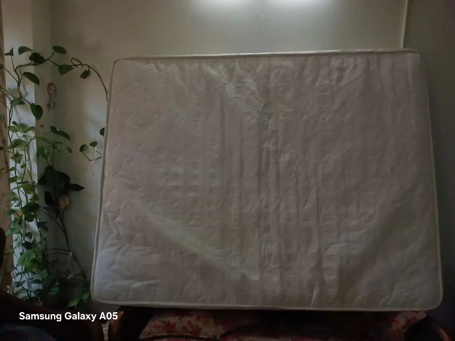 تشک طبی|تشک تختخواب|مشهد, حضرت حجت|دیوار