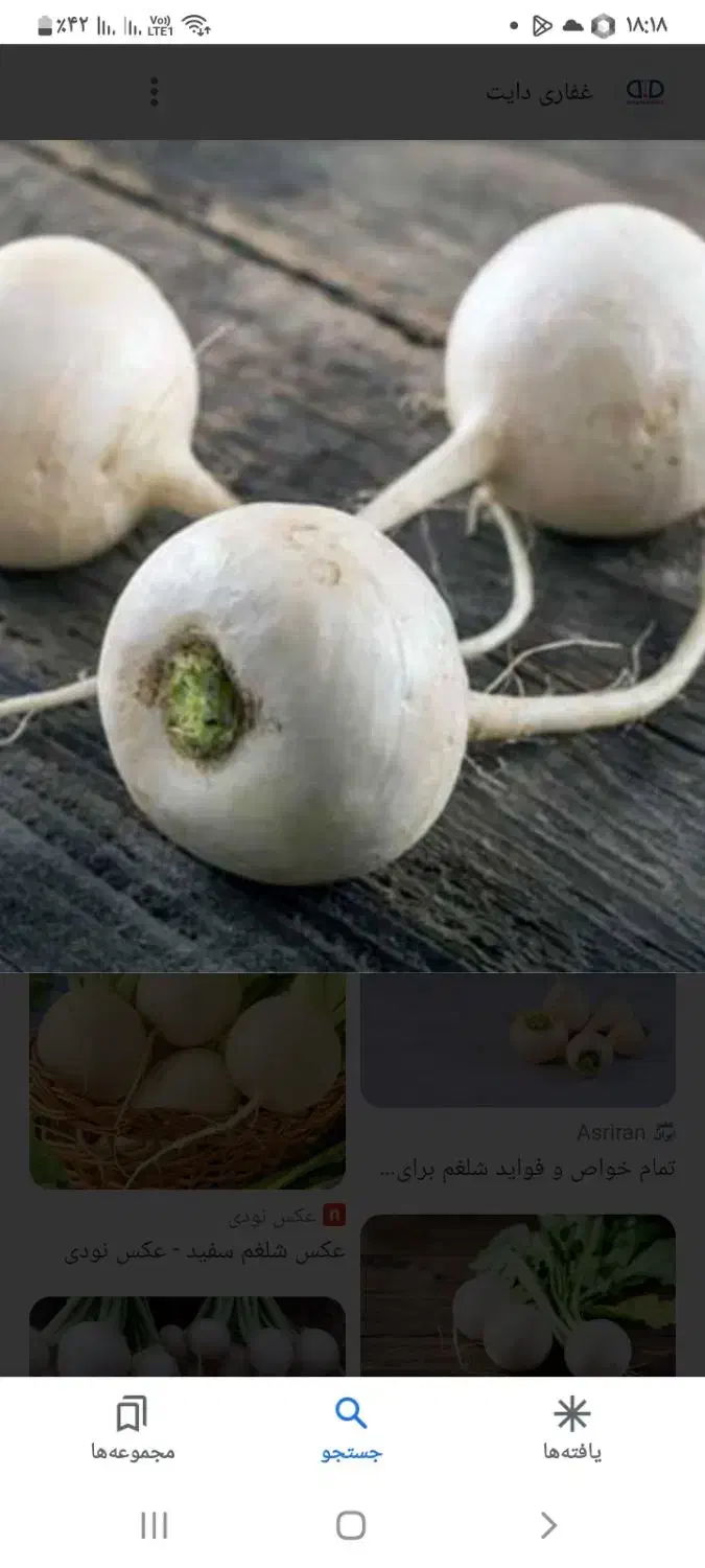 شلقم|حراج|میان جلگه, |دیوار