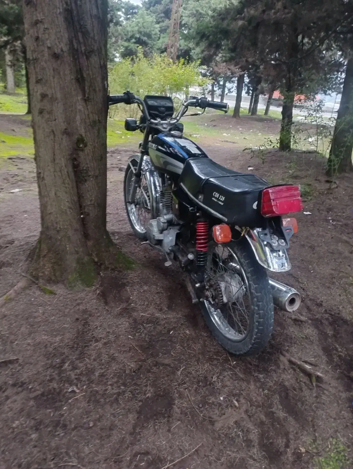 موتور سیکلت|موتورسیکلت|چوبر, |دیوار