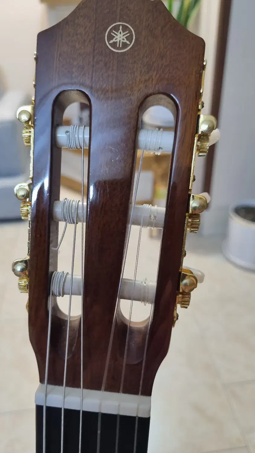 گیتار یاماها c70|گیتار، بیس، امپلیفایر|شیراز, شهرک گلدشت حافظ‎|دیوار