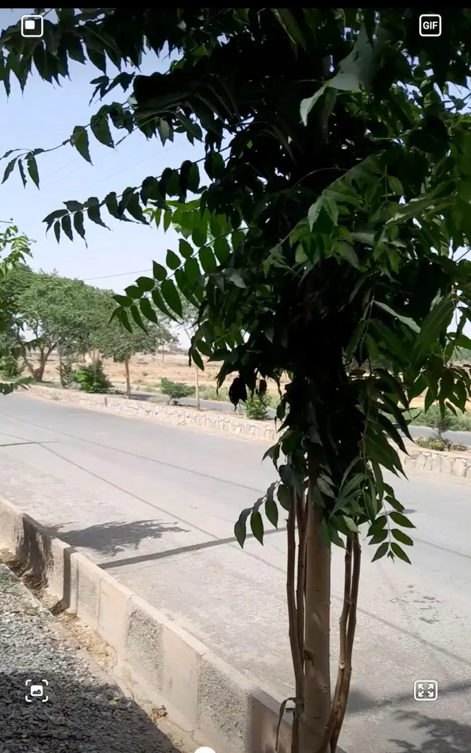 ۲عددمغازه  فروشی خسروجرد|فروش مغازه و غرفه|سبزوار, خسروجرد|دیوار