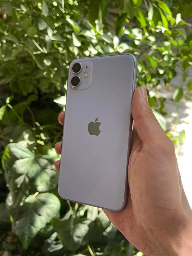 ایفون ۱۱ نرمال|موبایل|اصفهان, باغ کاران|دیوار