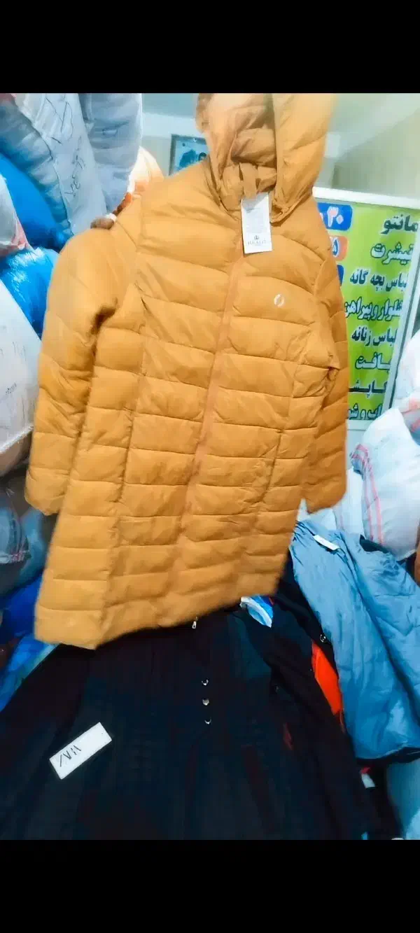 پخش عمده دنیای لباس تاناکورا در ایران|لباس|مشهد, دانش|دیوار