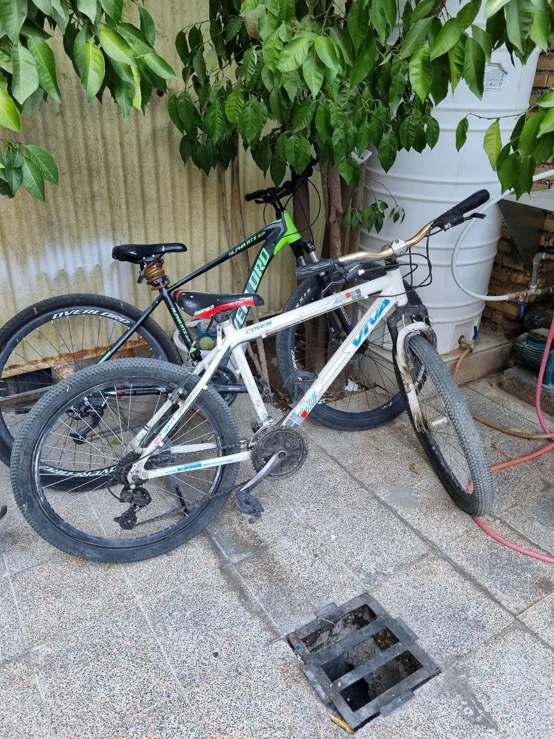 دوچرخه ۲۶ ویوا اصلی|دوچرخه، اسکیت، اسکوتر|ایذه, |دیوار