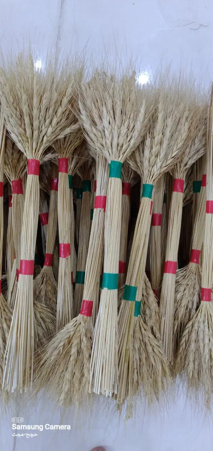 گندم طلای|گل و گیاه طبیعی|خاوران, |دیوار