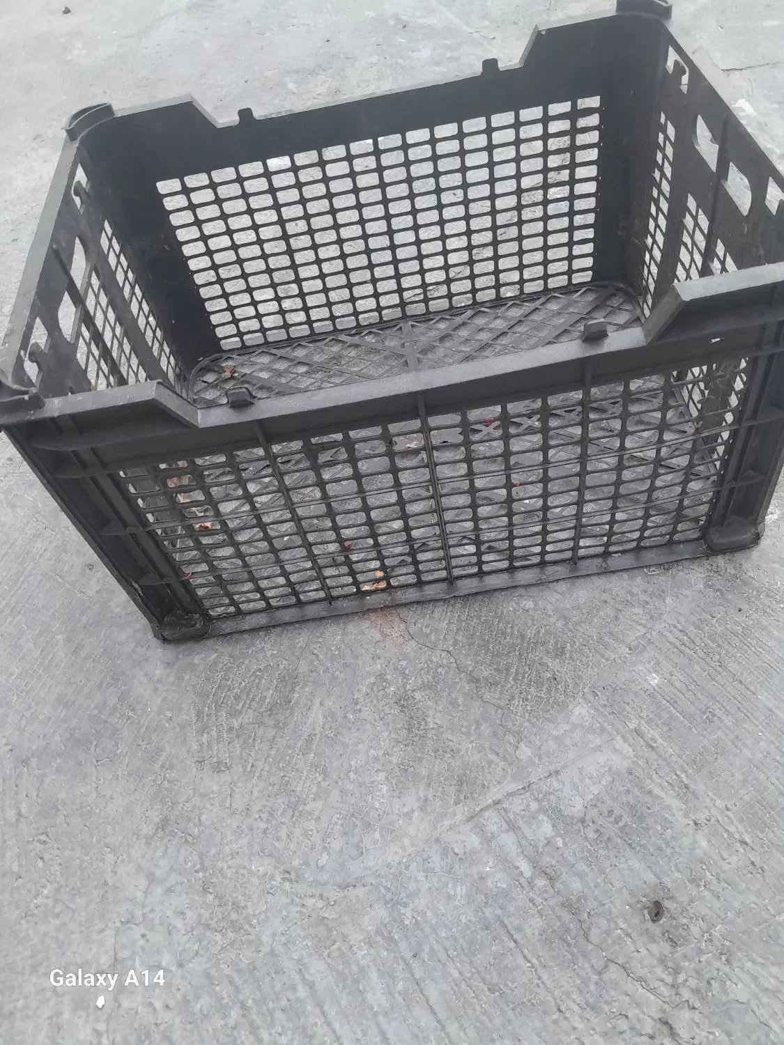 سبد میوه|ظروف نگهدارنده، پلاستیکی، یک‌بارمصرف|شوشتر, |دیوار