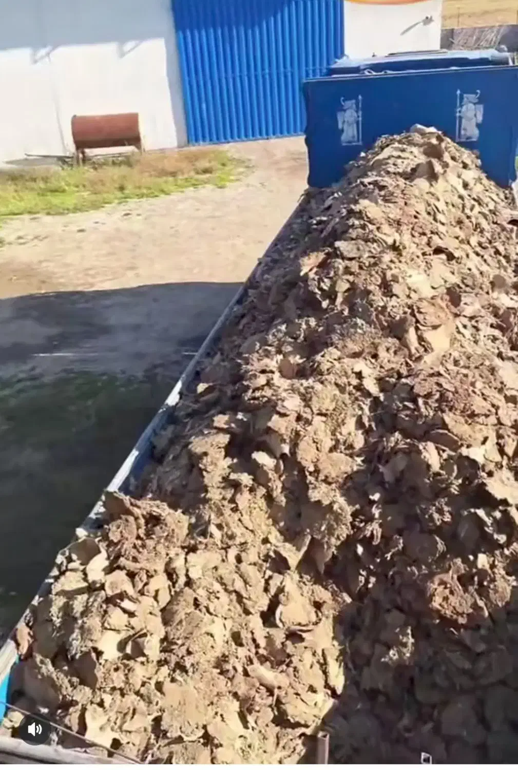 کود مرغی|گل و گیاه طبیعی|دامغان, |دیوار