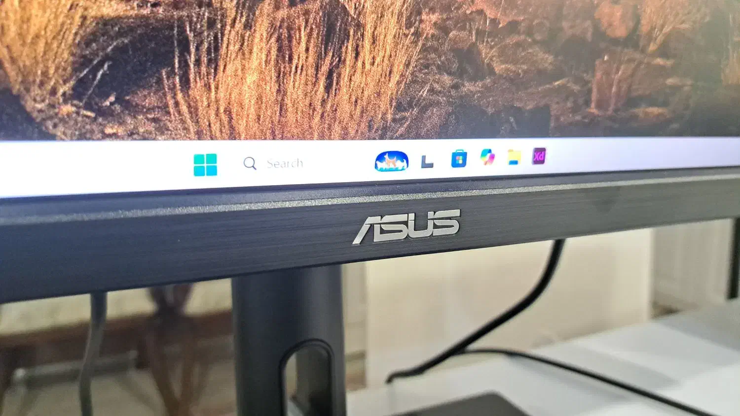 ASUS ProArt Display PA329CV|قطعات و لوازم جانبی رایانه|تهران, توحید|دیوار