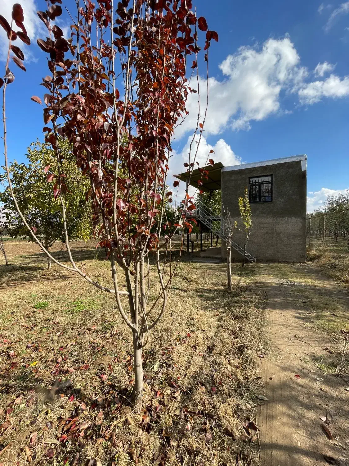 2هزار متر باغ و خانه باغ در آستانه|فروش دفتر صنعتی، کشاورزی، تجاری|شازند, |دیوار