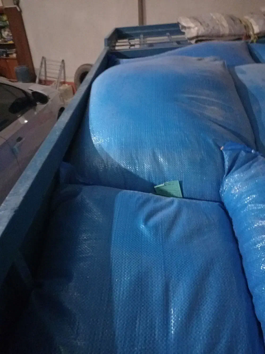 بذر گندم درجه یک وبذر مادری|گل و گیاه طبیعی|دره شهر, |دیوار