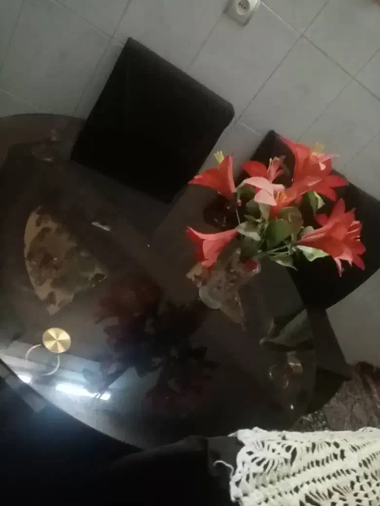 میز ناهار خوری چوبی|میز و صندلی غذاخوری|مشهد, ابوذر|دیوار