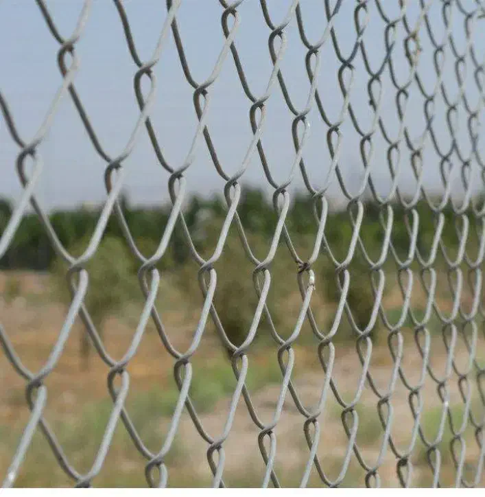 فنس توری گالوانیزه مناسب باغ|مصالح و تجهیزات ساختمان|مشهد, شاهد (شهرک غرب)|دیوار