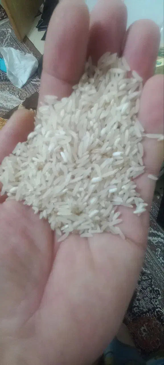 برنج شمال|خوردنی و آشامیدنی|دهلران, |دیوار