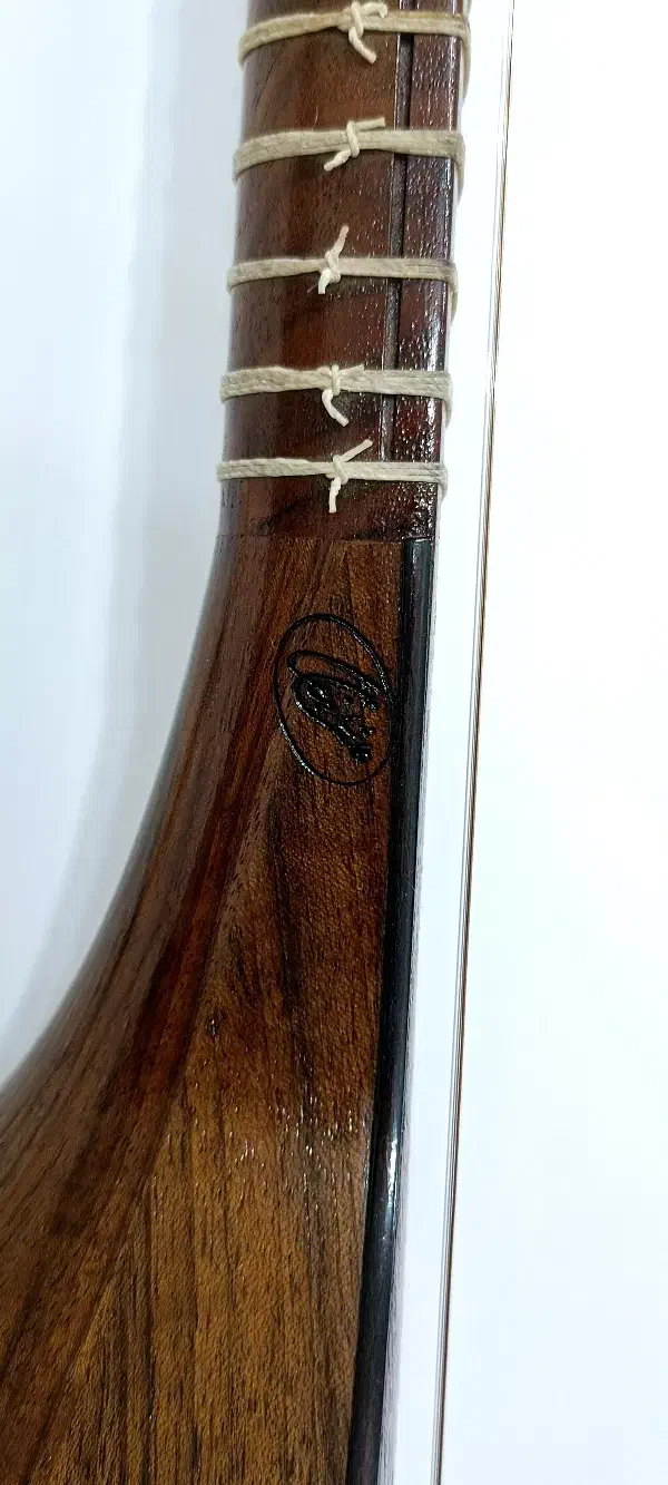 سه تار شاهرخی دو مهر اصل|سازهای سنتی|آبدانان, |دیوار