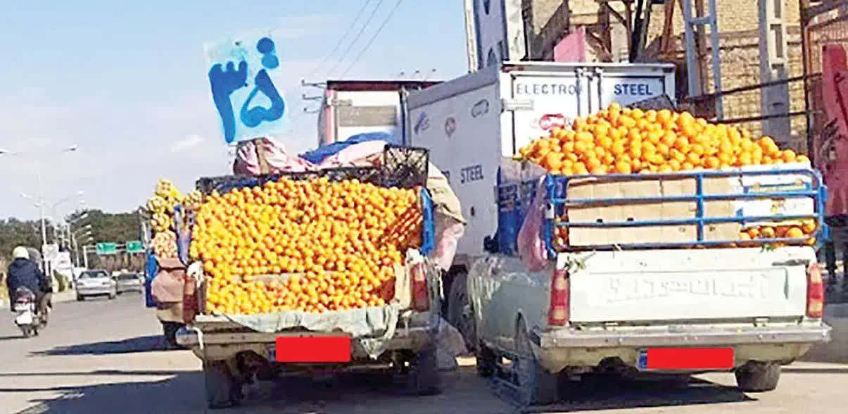 وانت با راننده ، نیسان ، مشارکت ، ایسوزو|استخدام حمل و نقل|تهران, میدان میوه و تره‌بار مرکزی|دیوار