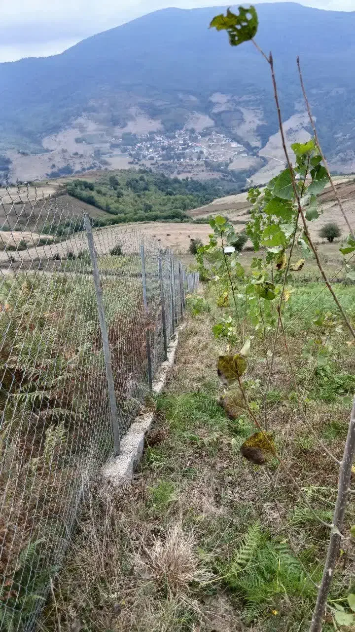 زمین، روستای پاجی|فروش زمین و ملک کلنگی|فریم, |دیوار