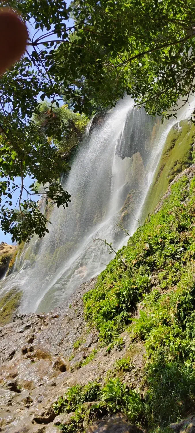 راهنمایی در مورد رشت|فعالیت داوطلبانه|رشت, منظریه|دیوار