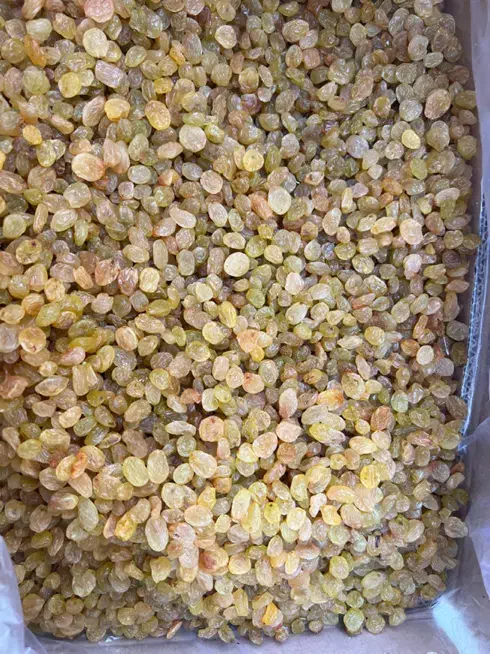 فروش  عمده کشمش ملایر طلایی و خرمایی در هر تناژی|خوردنی و آشامیدنی|ملایر, |دیوار