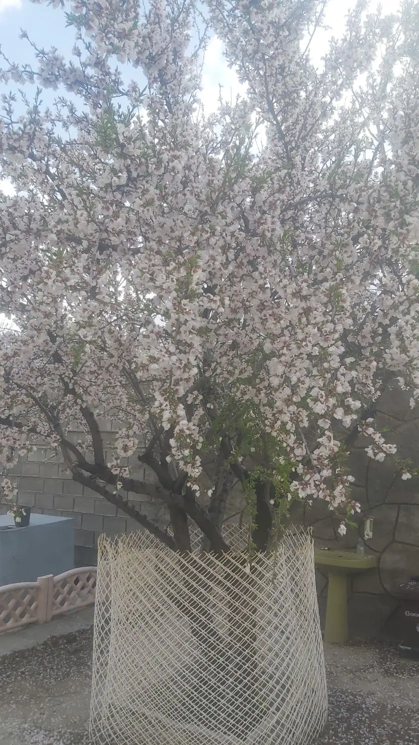 تصویر 8