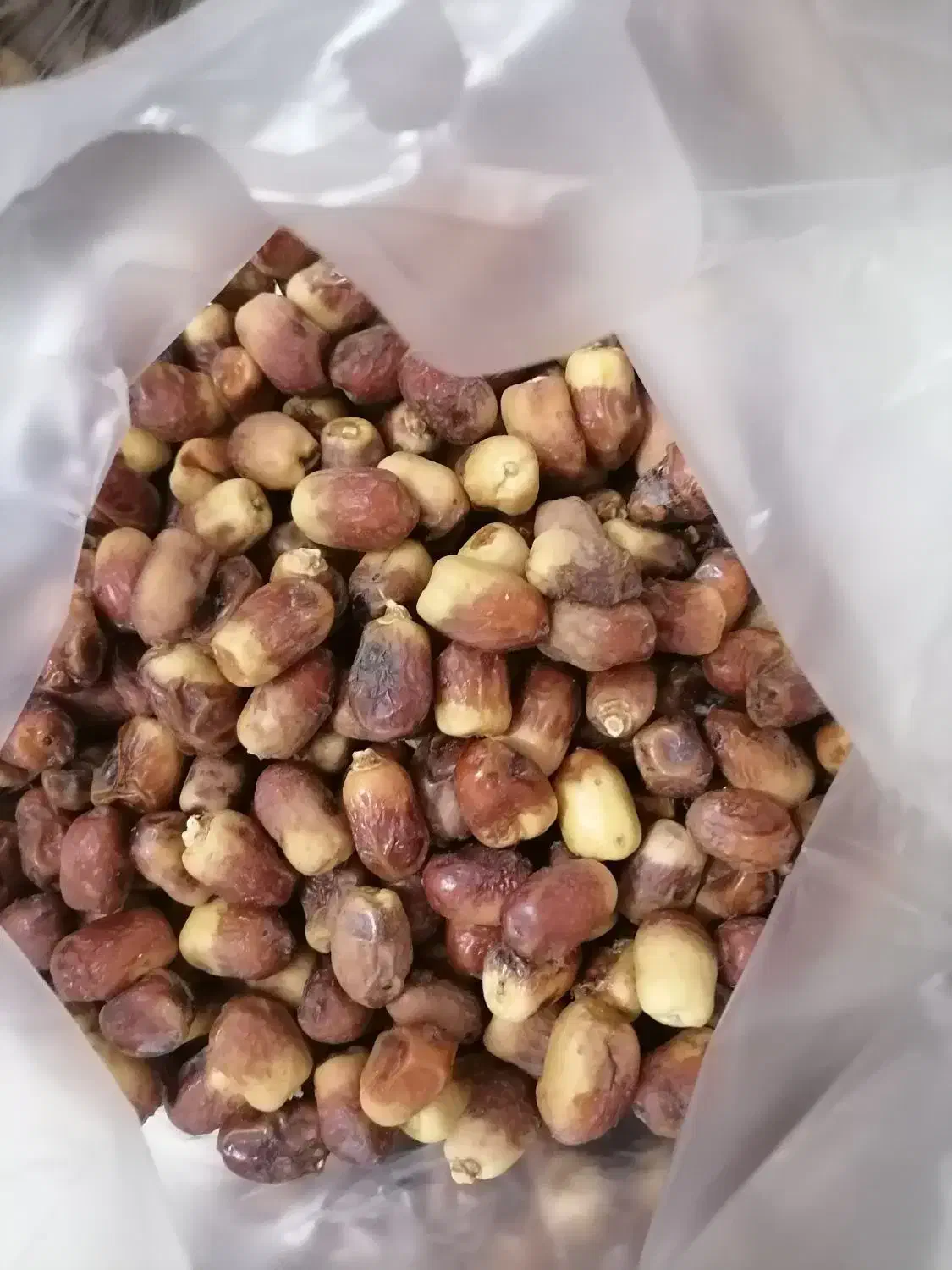 فروش قصب|خوردنی و آشامیدنی|دهرم, |دیوار