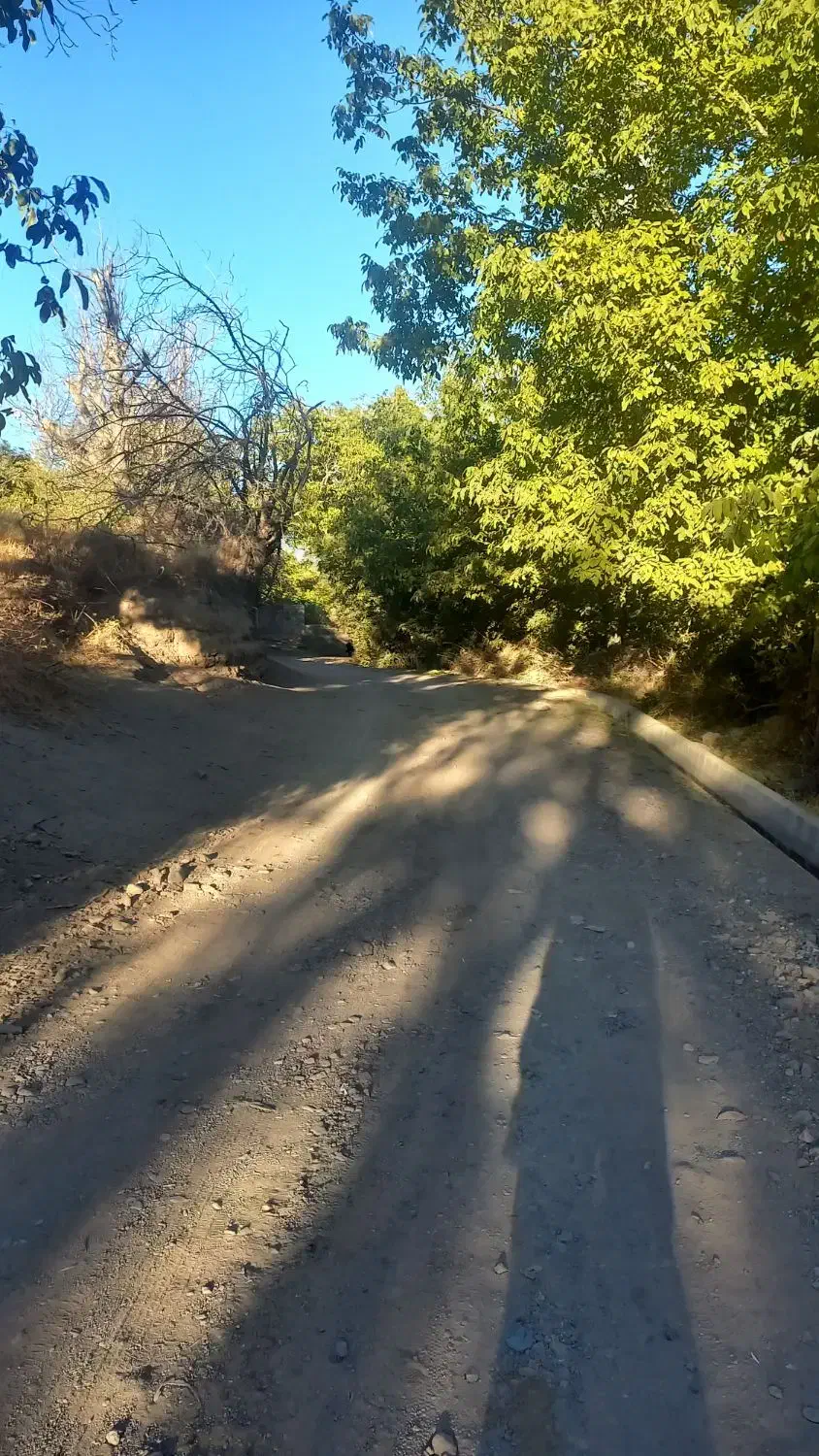 باغ|فروش زمین و ملک کلنگی|کندوان, |دیوار