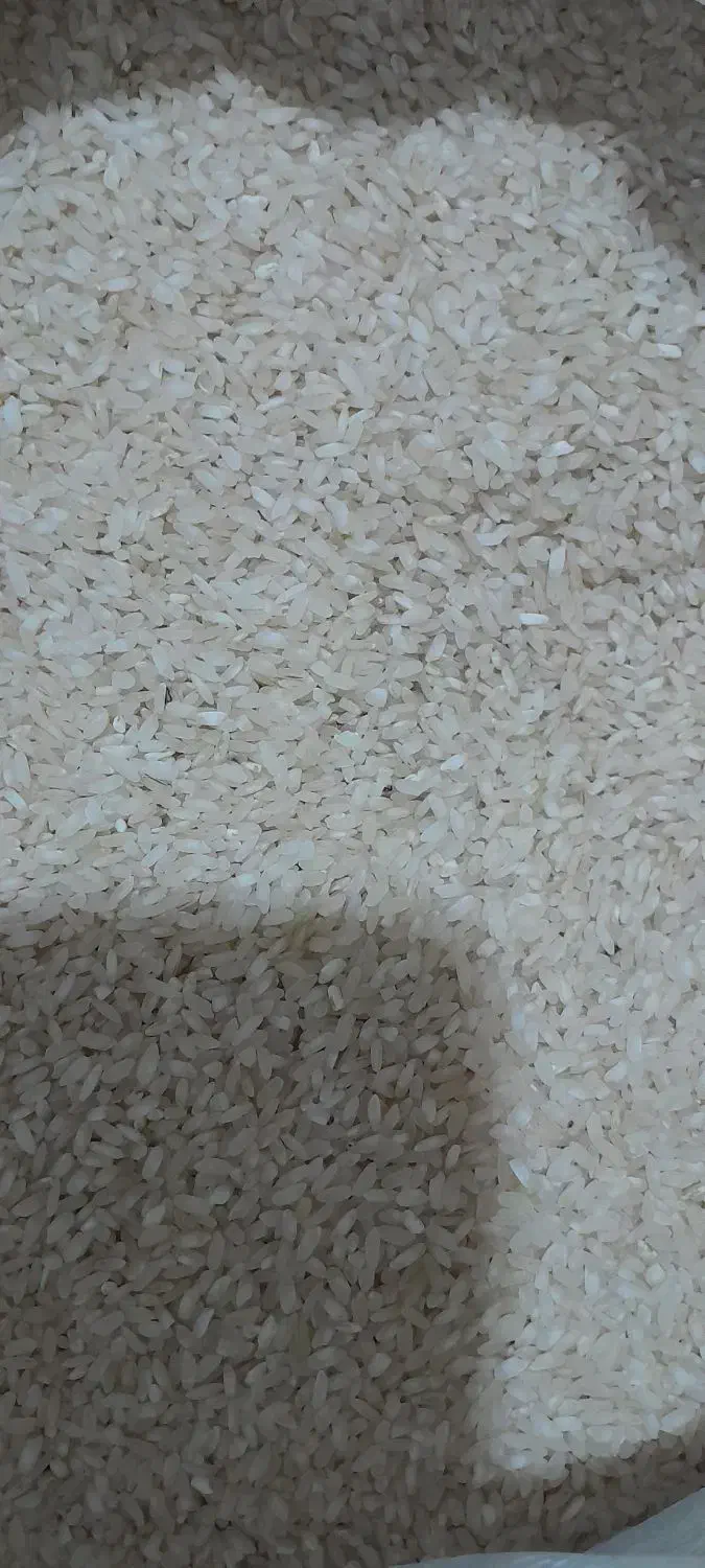 برنج هندی دانه بلند گل پسند و هایلی و خوشبخت|خوردنی و آشامیدنی|فسا, |دیوار