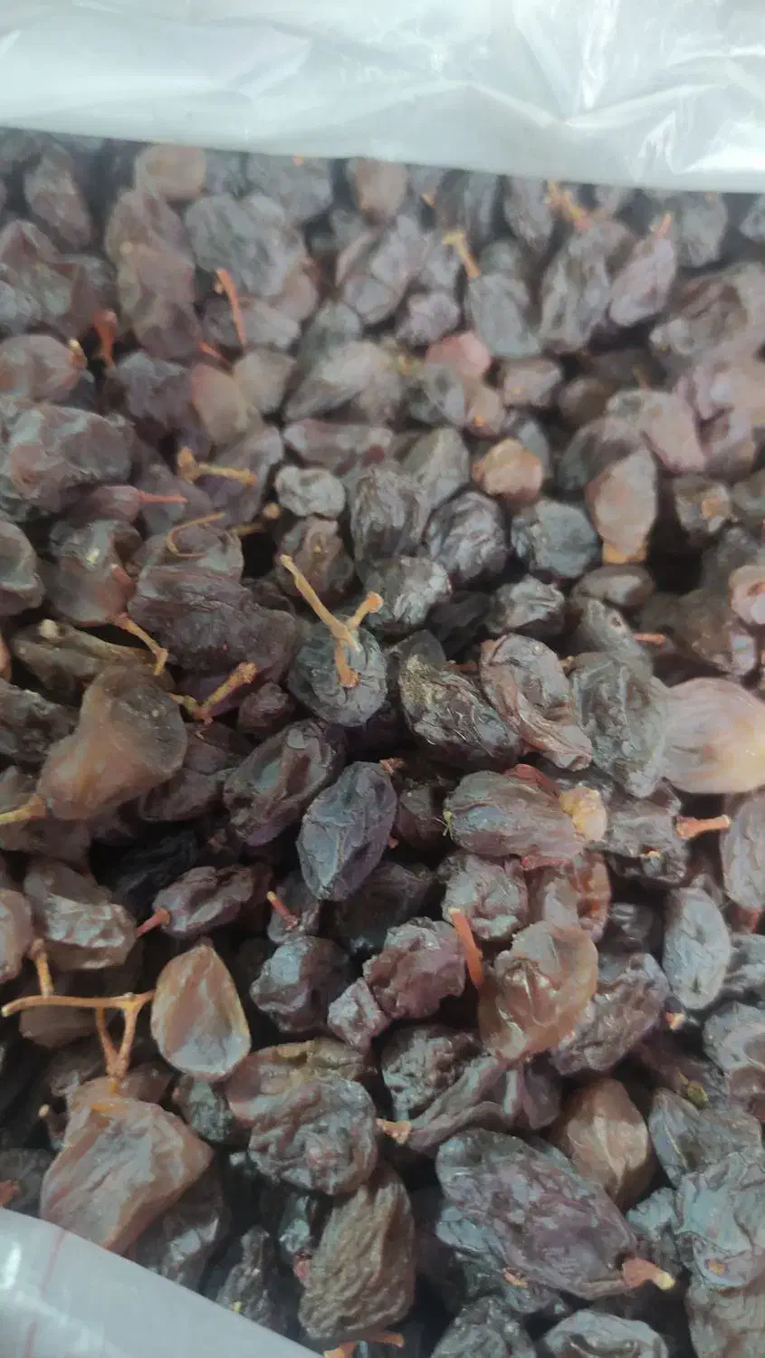 مویزاعلاگوشتی|خوردنی و آشامیدنی|اشتهارد, |دیوار