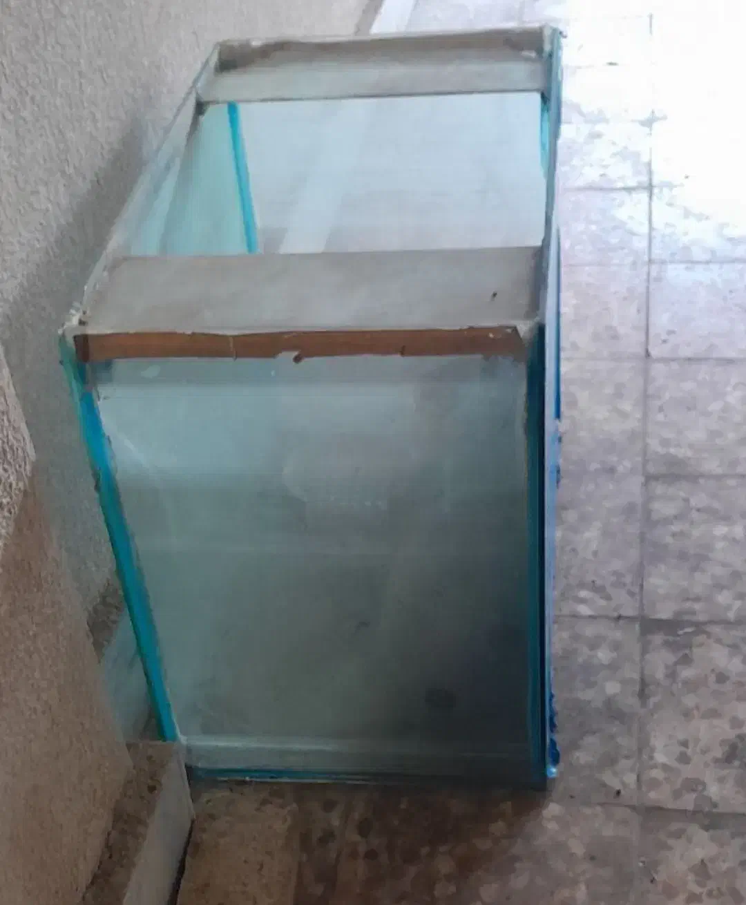 شیشه آکواریوم|ماهی|لاهیجان, فیاض|دیوار