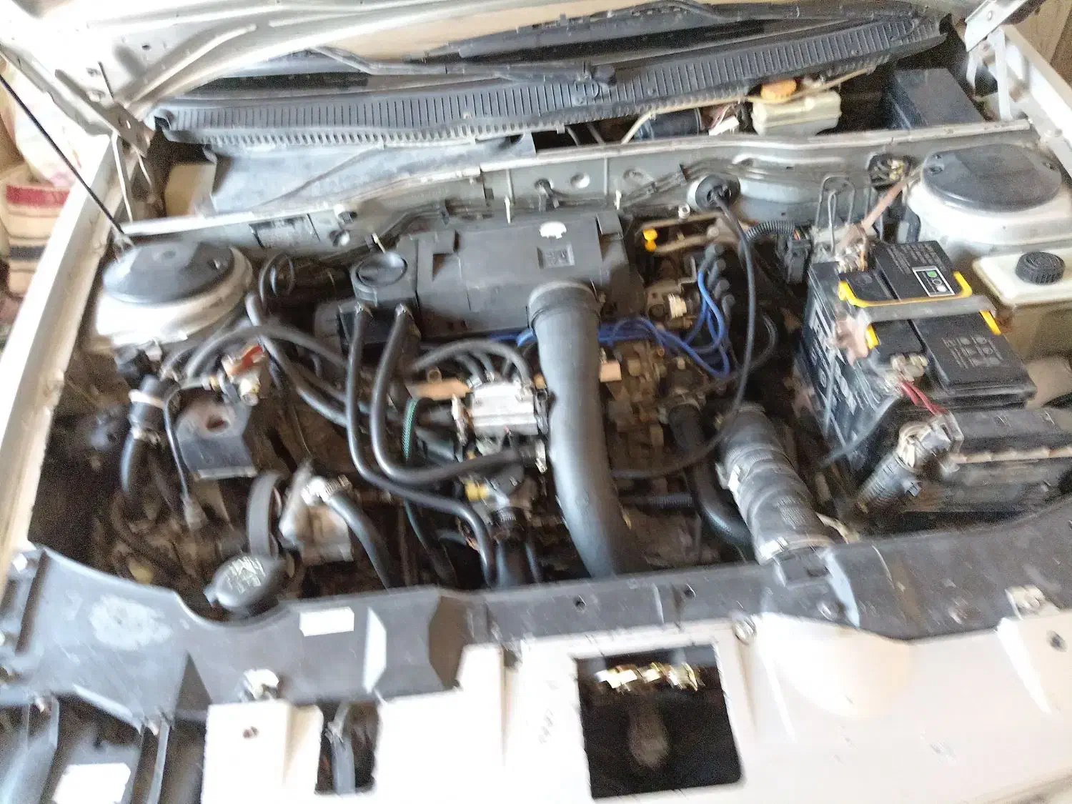 بازدیدتربت حیدریه|خودرو سواری و وانت|سلیمان, |دیوار