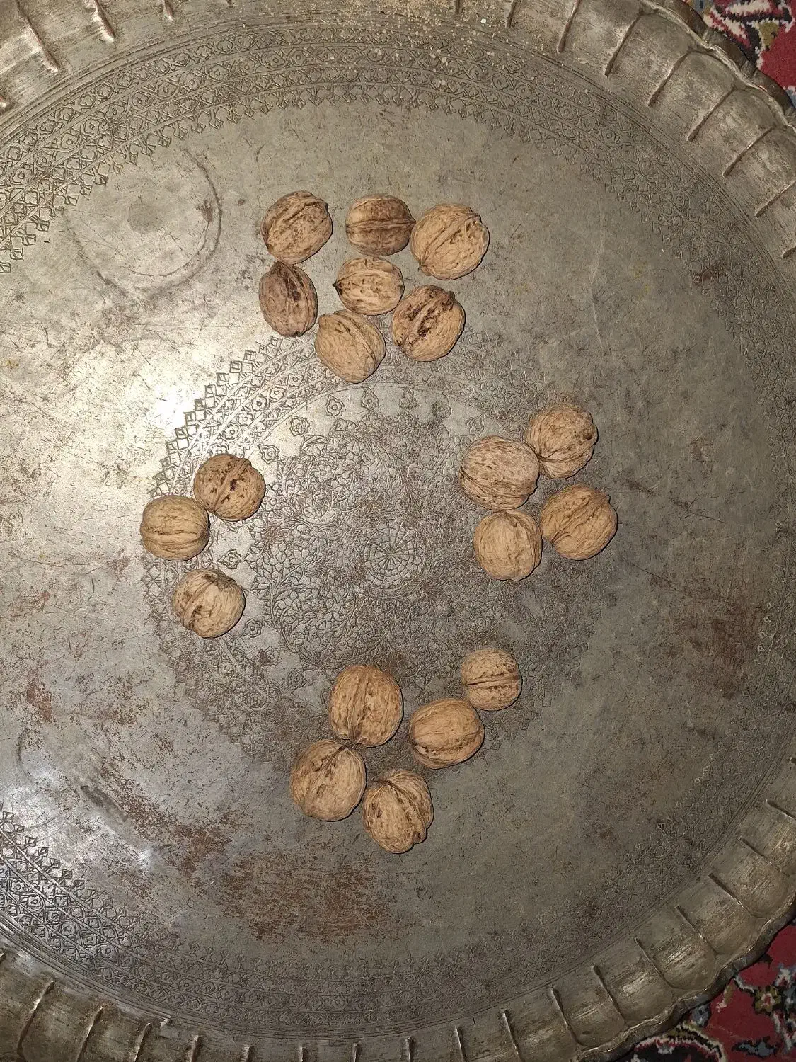 نهال گردو|خدمات باغبانی و درختکاری|سرولایت, |دیوار