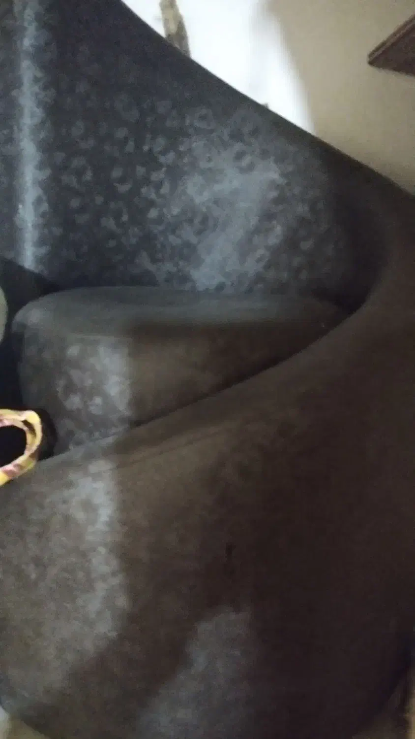 صندلی مبلی|آرایشگاه و سالنهای زیبایی|الیگودرز, |دیوار