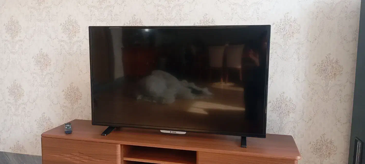 تلوزیون 48 اینچ|تلویزیون و پروژکتور|نقده, |دیوار