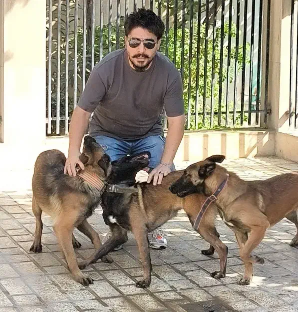 فروش توله بلژین مالینویز مالینوا اصیل گارد|سگ|رشت, پسیخان|دیوار