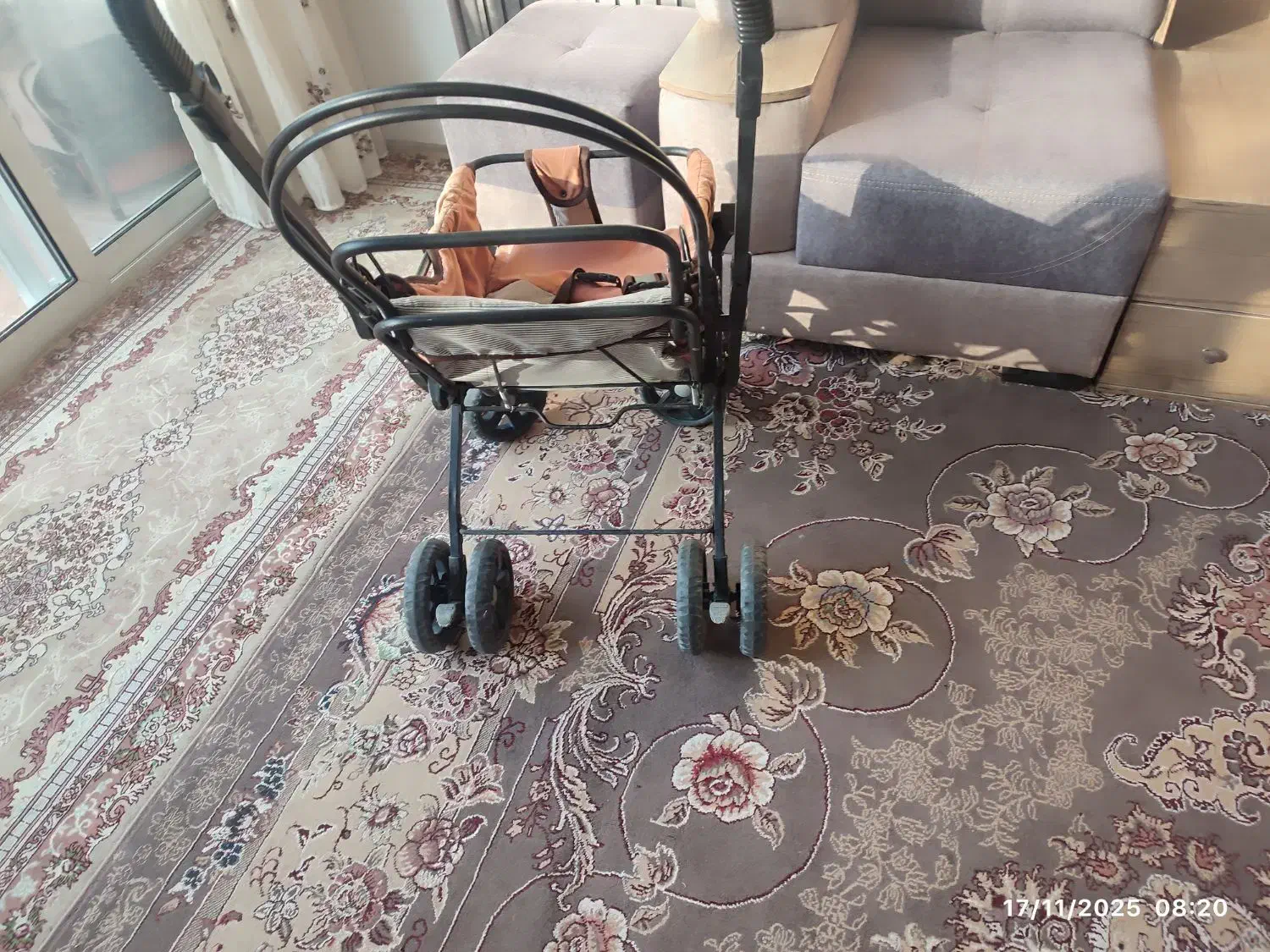 کالسکه دلیجان|کالسکه و لوازم جانبی|اصفهان, جنیران (لادان)|دیوار