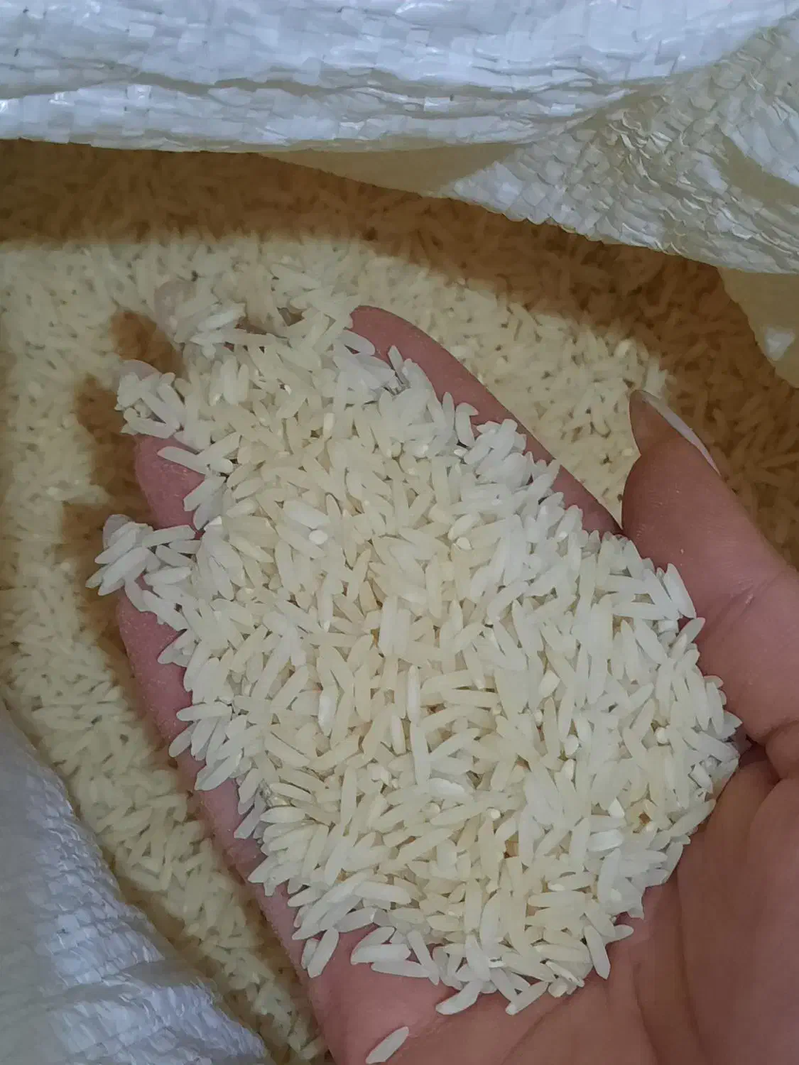 برنج هاشمی|خوردنی و آشامیدنی|محمدشهر, محمدشهر|دیوار