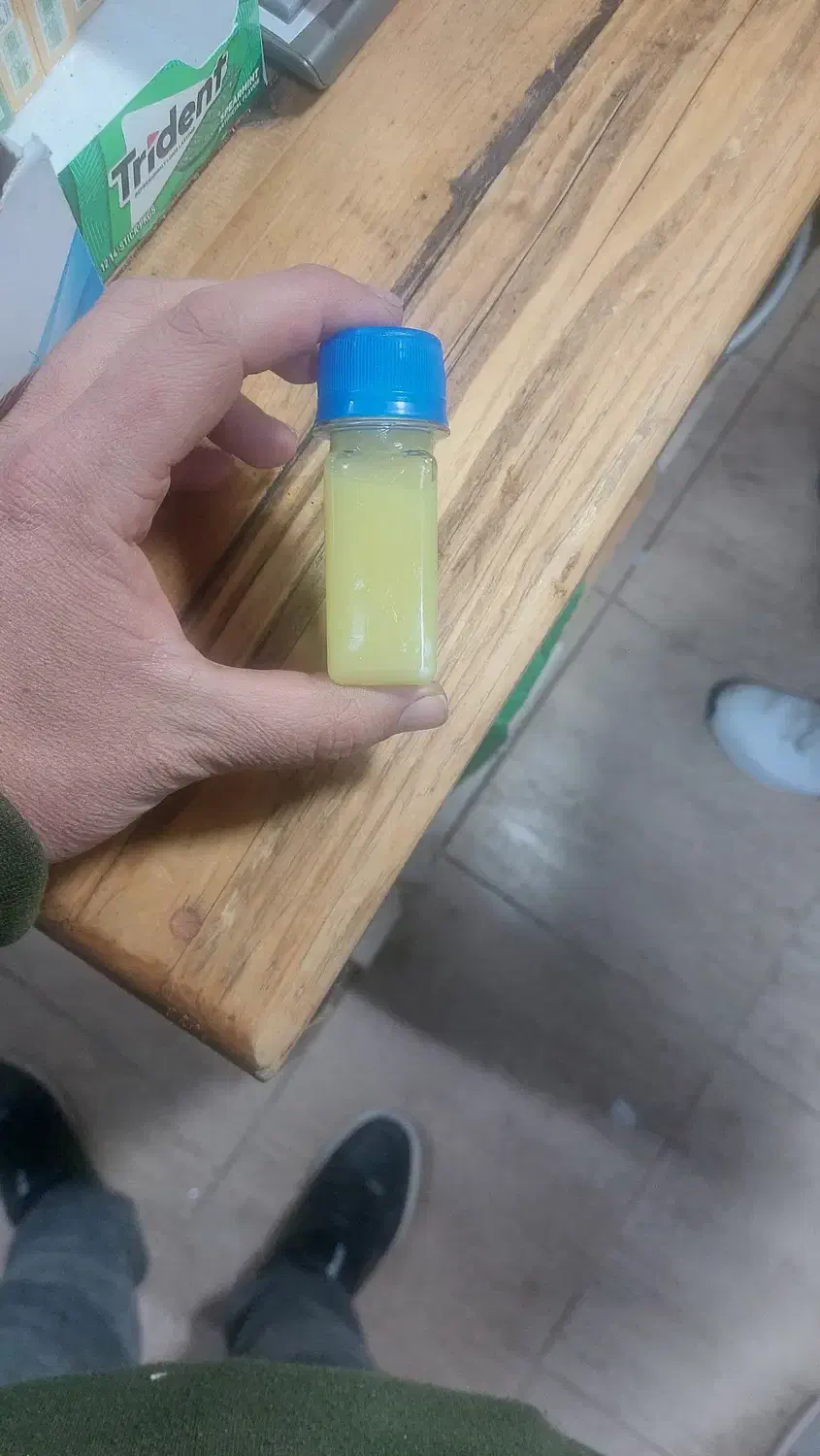 عصارخ زنجبیل|خوردنی و آشامیدنی|مبارکه, |دیوار