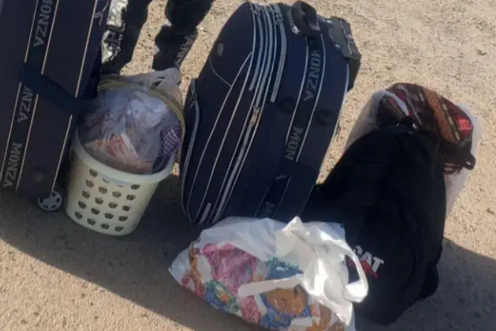 چمدان مسافرتی گمشده|کیف، کفش، کمربند|بیرجند, |دیوار