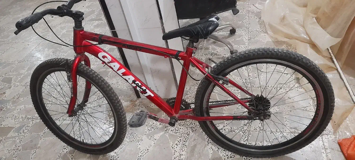 دوچرخه 26|دوچرخه، اسکیت، اسکوتر|تولم شهر, |دیوار