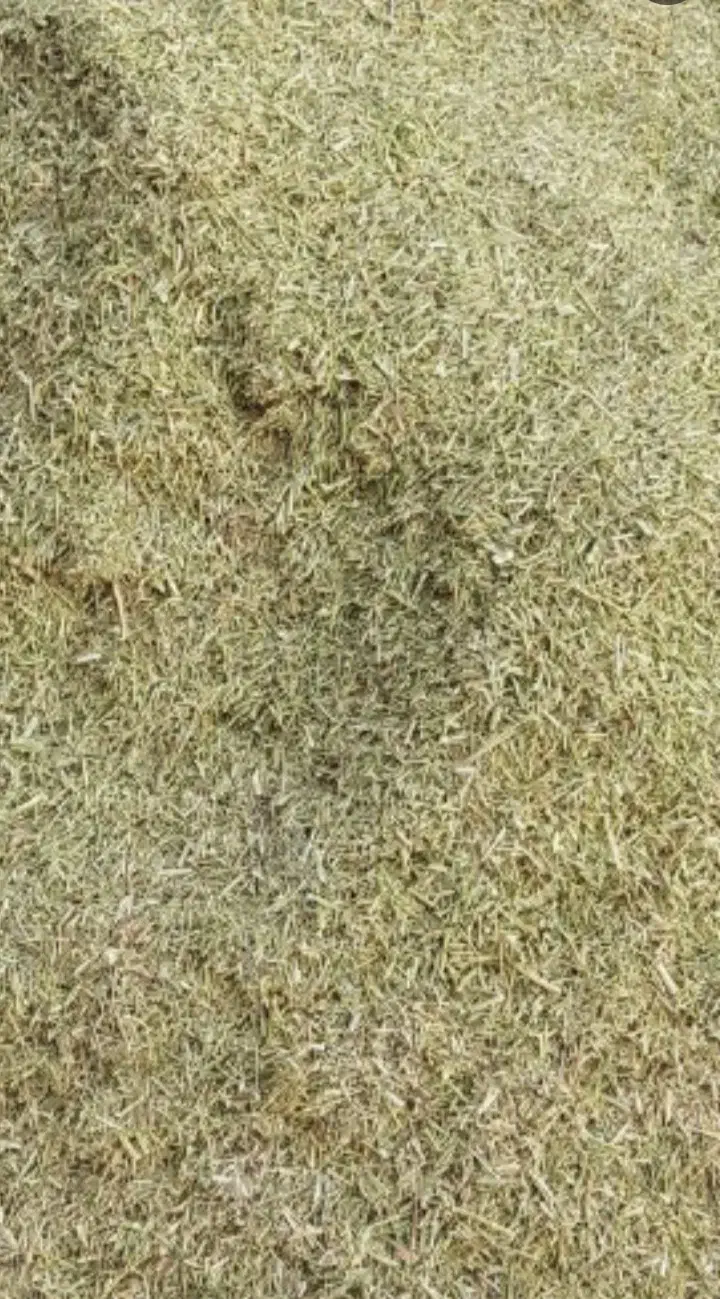 خار|لوازم جانبی حیوانات|رضویه, |دیوار