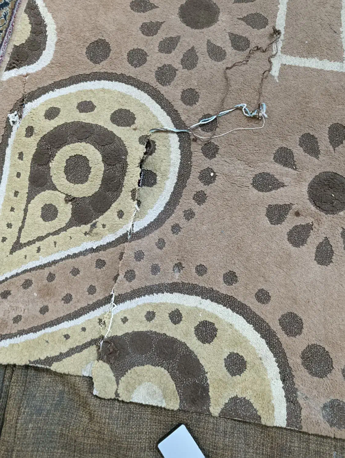 قالی فانتزی ۹متری فقط۳۰۰|فرش|پرند, فاز ۴|دیوار