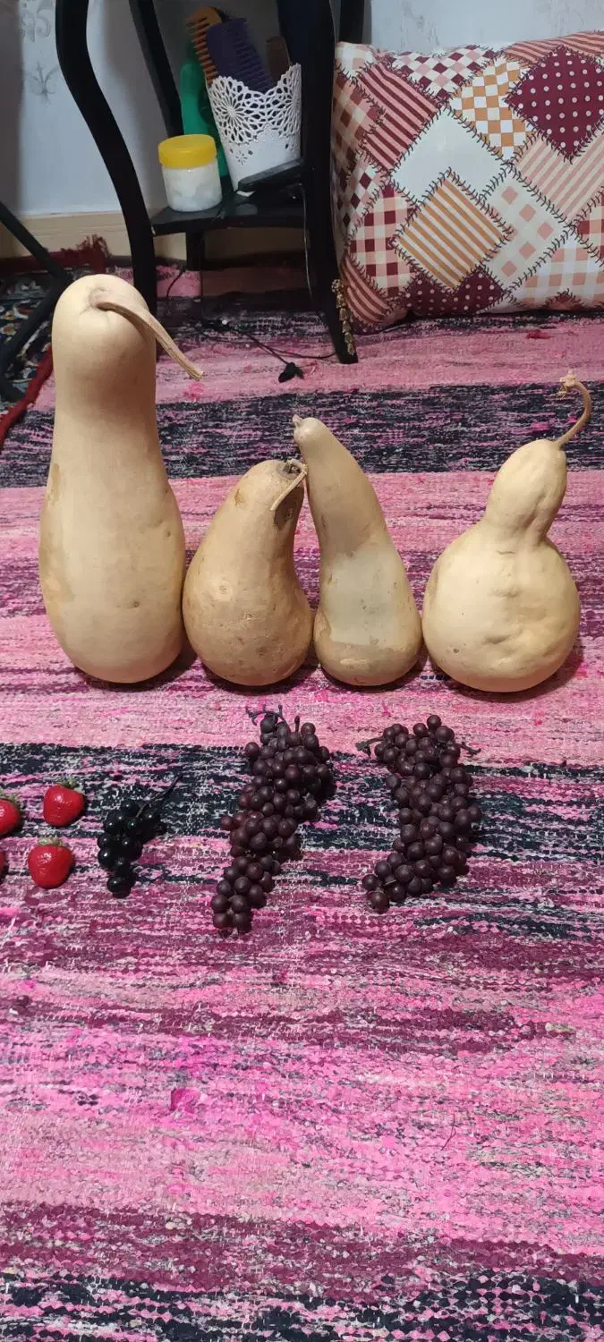 کدو خشک شده طبیعی و میوه مصنوعی|صنایع دستی و سایر لوازم تزئینی|ری, دیلمان|دیوار