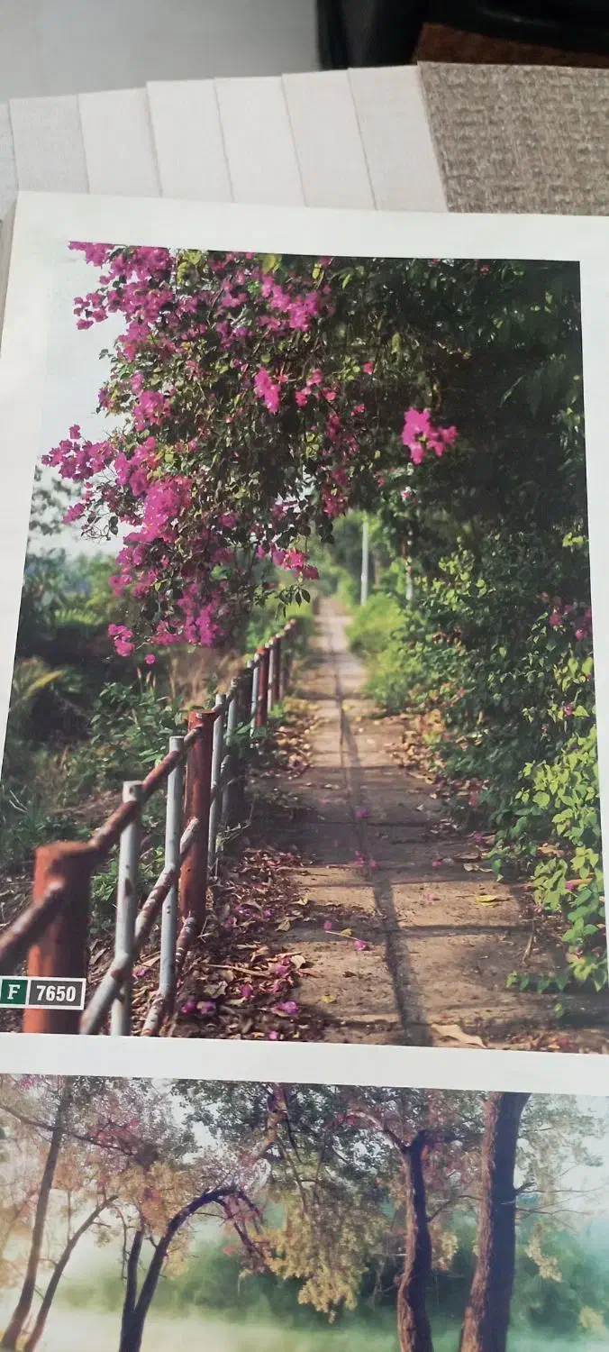 نصب.کاغذدیواری.کناف.پانل.پارکت|خدمات پیشه و مهارت|مشگین شهر, |دیوار